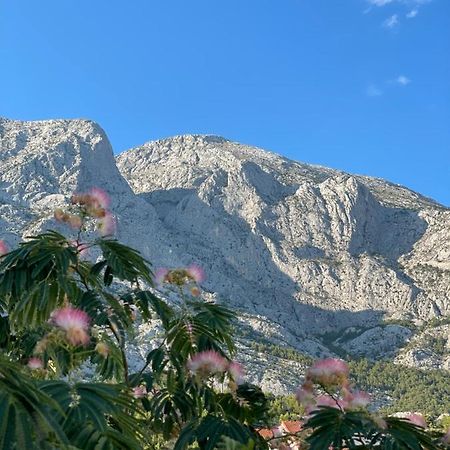 Heaven’s View Apartments Baška Voda Buitenkant foto