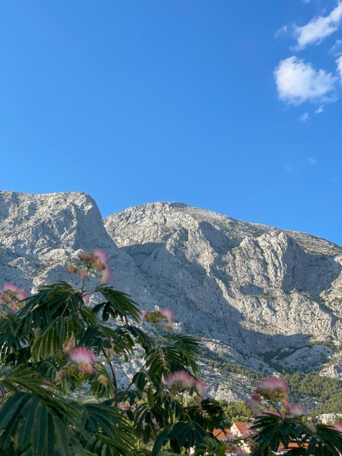 Heaven’s View Apartments Baška Voda Buitenkant foto
