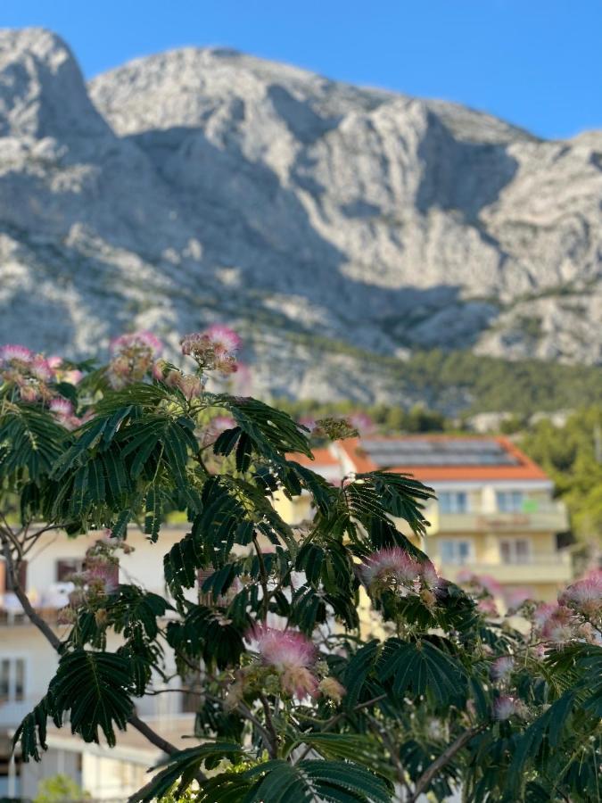 Heaven’s View Apartments Baška Voda Buitenkant foto